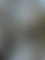 人間を知りたい