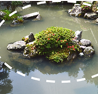 Garden_Kamejima