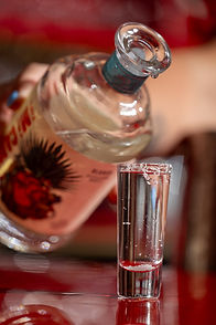 RED APPLE LOUNGE OCEAN SPRINGS GULF COAST NIGHTLIFE 17.jpg