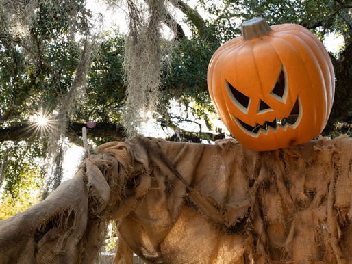 Boo in the Bayou: How the Parade Reflects Louisiana Culture