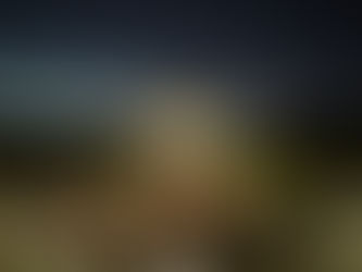 Parade Like a Pro: Insider Tips from Longtime BOO-goers