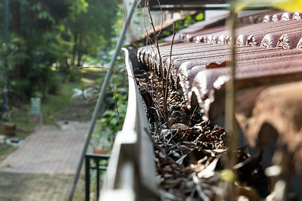 close-up-of-clogged-roof-rain-gutter-full-of-dry-l-2026-03-24-00-28-54-utc.jpg