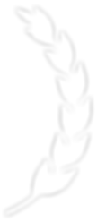 Laurel