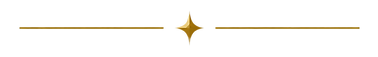 DIVIDER MINI.png
