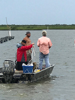 SHELLEY FARMS 2017 IMAGE PROCESS 12.JPG