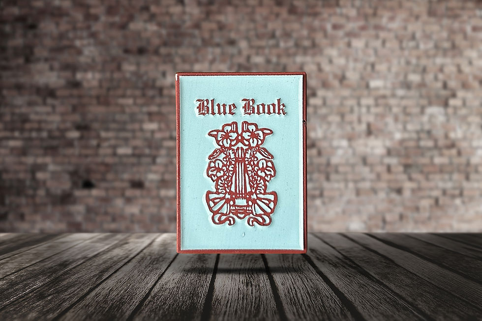 Thumbnail: Blue Book Pin