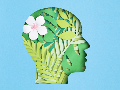 The Psychology of Visual Persuasion in Advertising Design