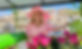 SPRING FIESTA ASSOCIATION PARADE.jpg