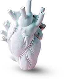 HEART SCULPTURE.png