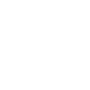 ICON INFORMATION.png