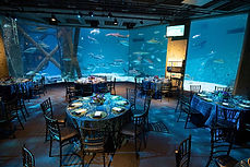 audubon aquarium 1200x800.jpg
