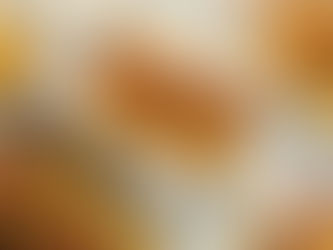 The Po’boy Passport: A New Orleans Sandwich for Every Craving”