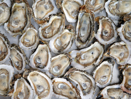 The World Is Your Oyster