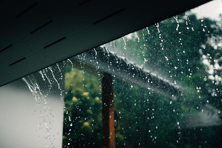 rain-pouring-off-building-overlooking-greenery-2026-03-25-04-09-52-utc.jpg