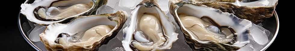 SHELLEY FARMS HEADER 25.jpg