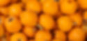 HEADER LOQUAT.jpg