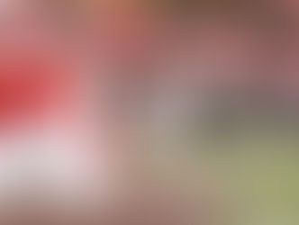 ACC Midterm Grades: NC State