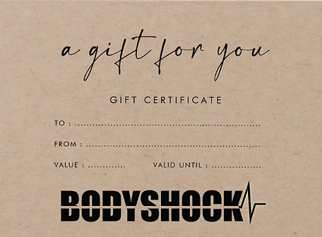 Screen Shot 2022-12-14 at 9.56.43 PM.png