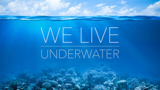We live underwater.jpeg
