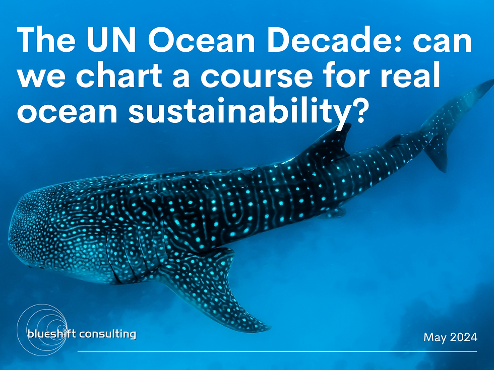 The UN Ocean Decade: can we chart a course for real ocean sustainability? 