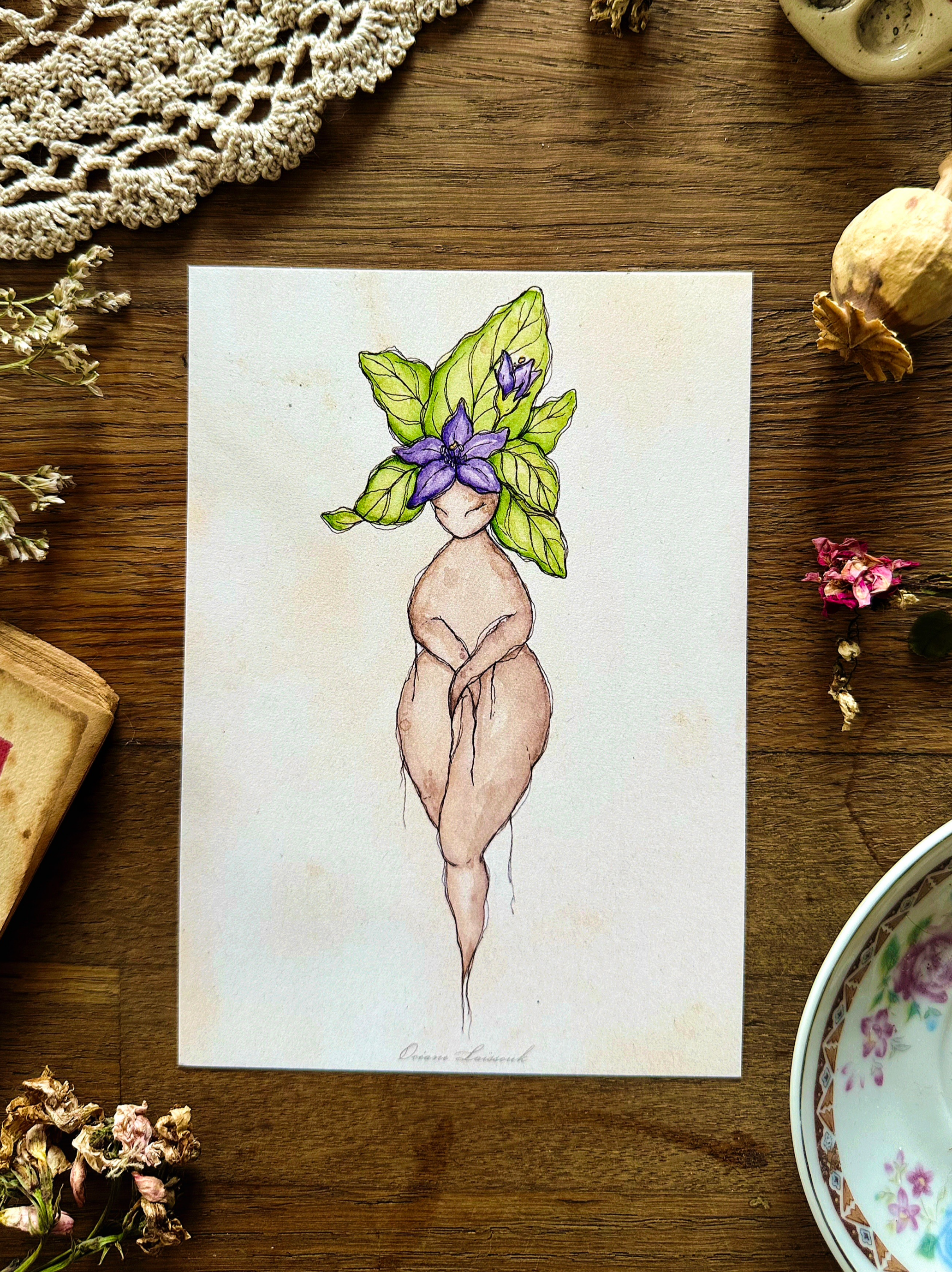 Carte postale - Fée Mandragore