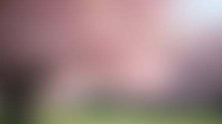 Essential Guide to Planning Your Dream Japan Trip from Orange County CA