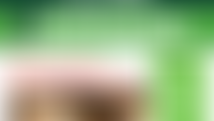 Enfoques de Salud Ambiental Nº91 Agosto 2019