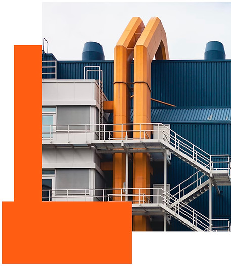 Grupo industrial VACE Experiencia