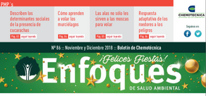 Enfoques de Salud Ambiental  Nº 86  I  Especial fin de año