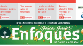 Enfoques de Salud Ambiental  Nº 86  I  Especial fin de año