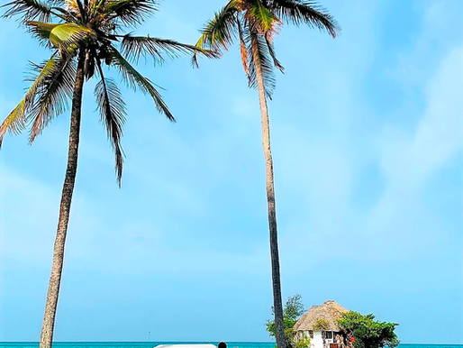 Destinace | Zanzibar