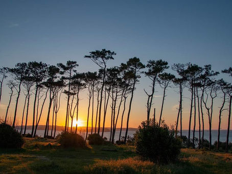 Cantabria en auge: razones para invertir en alquiler vacacional