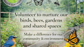 Join the Bay Club Conservancy