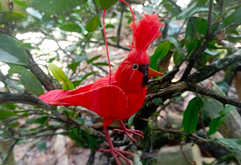 Cardinal bird , handcraft from Peru