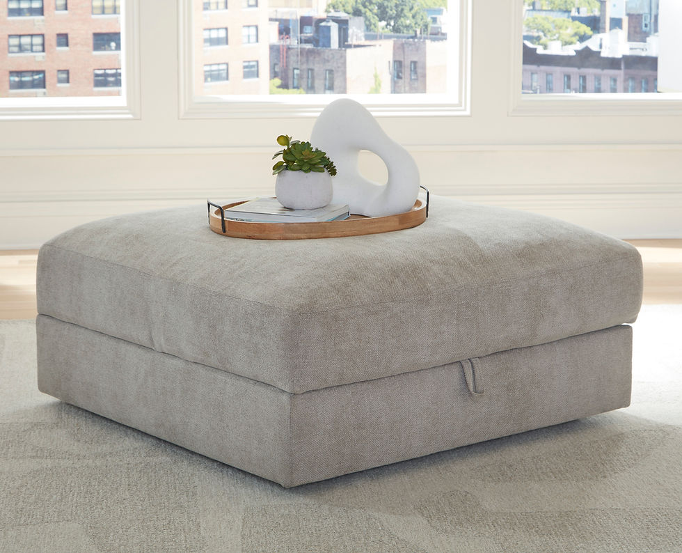 Aslan Court Ottoman w/ Storage