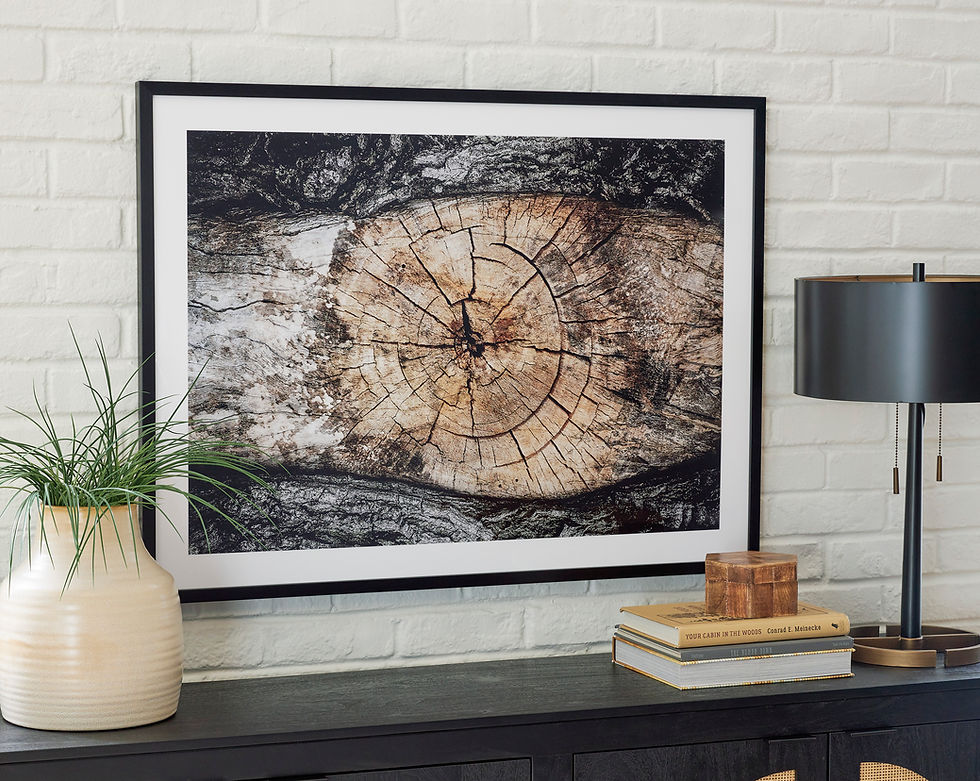 Freyburn Framed Print Wall Art