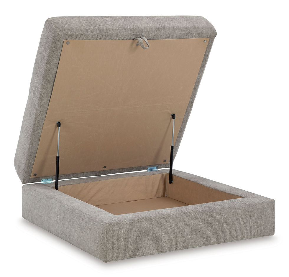 Thumbnail: Aslan Court Ottoman w/ Storage