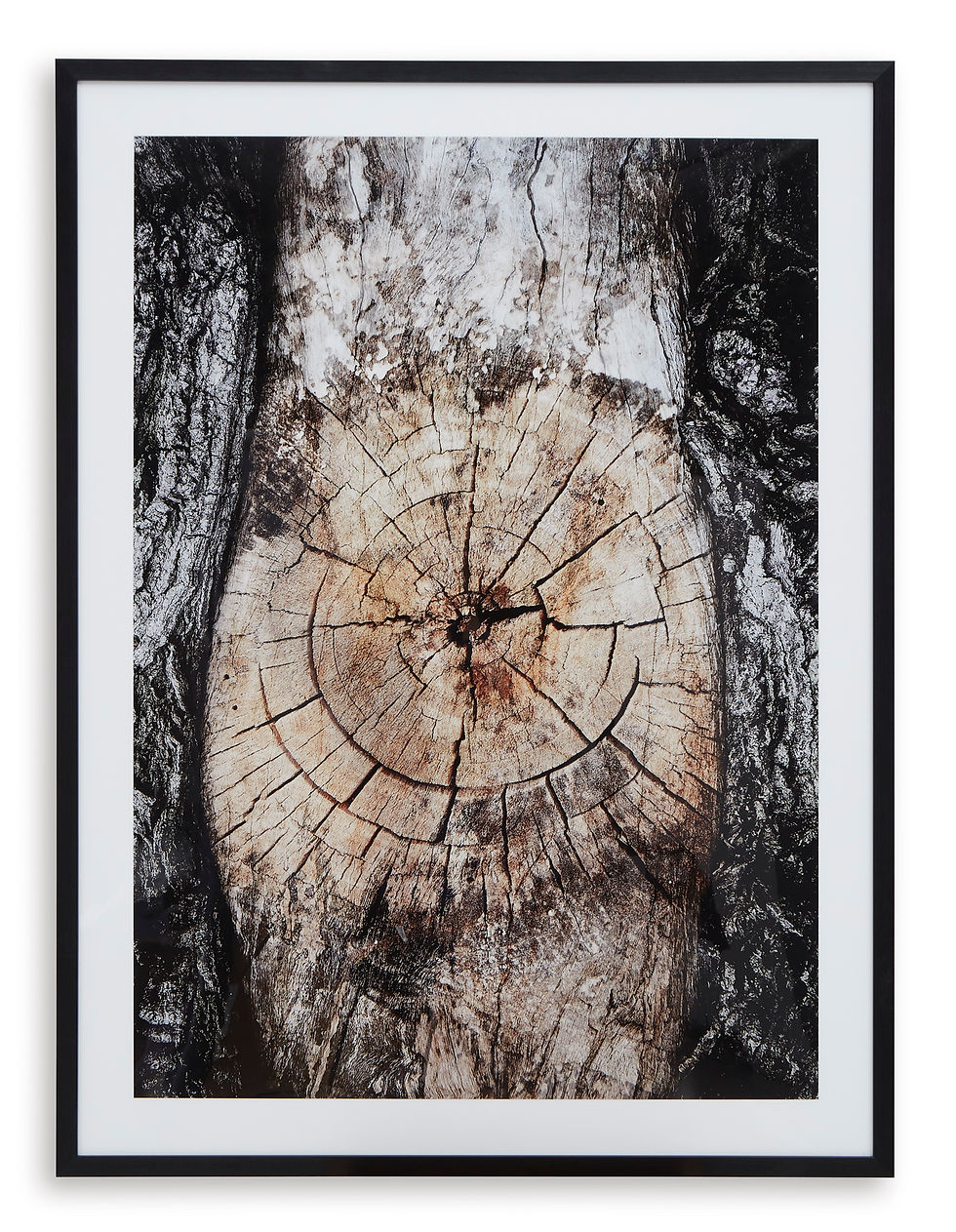 Thumbnail: Freyburn Framed Print Wall Art