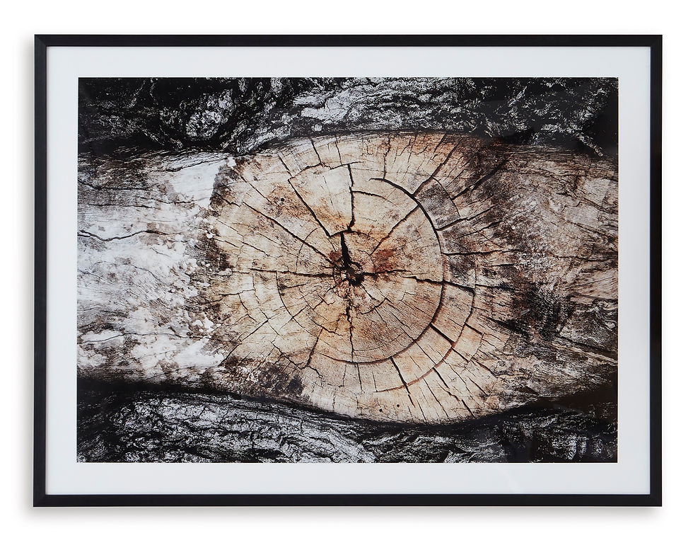 Thumbnail: Freyburn Framed Print Wall Art