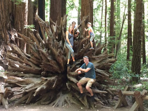 Planning A Trip To Santa Rosa, CA