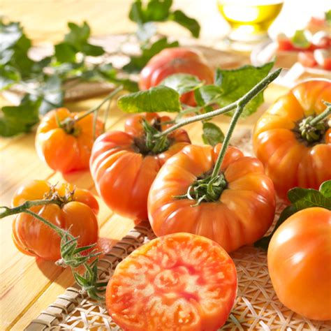 Miniature : Tomate Ananas