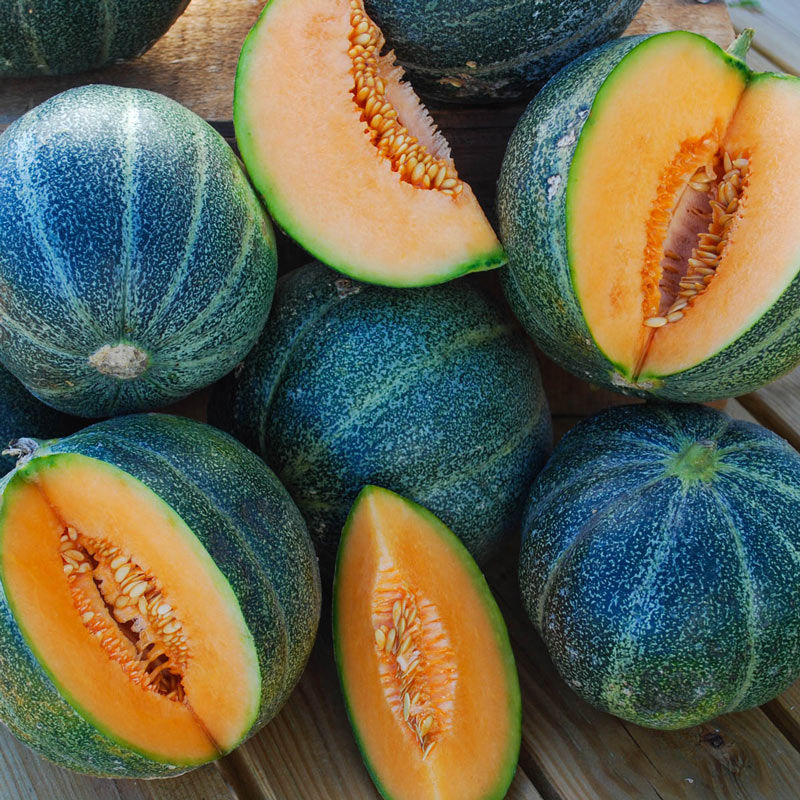 Miniature : Melon Petit Gris de Rennes