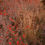 Thumbnail: Purple Needlegrass - Nassella pulchra