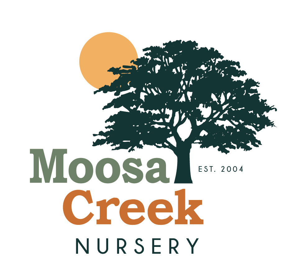 Moosa Creek Nursery logo
