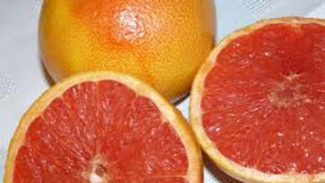 Pomelo, 100/110 cm - RUPTURE DE STOCK