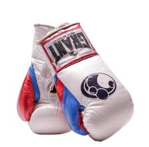 pasted image 0 (16).png