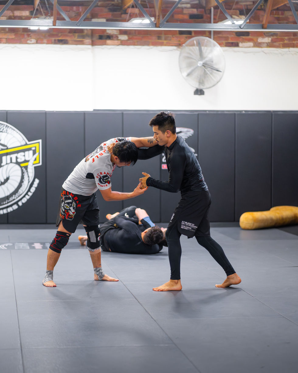 DEBEEN LEG LOCK CLASS (2 of 6)