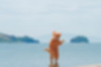牛窓港-08.jpg