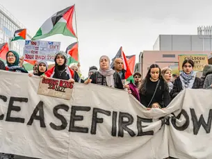 pro-palestinian protests