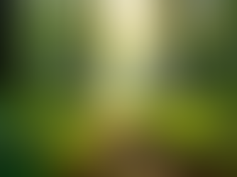 La importancia de una vida sostenible desde el Enfoque Centrado en la Persona